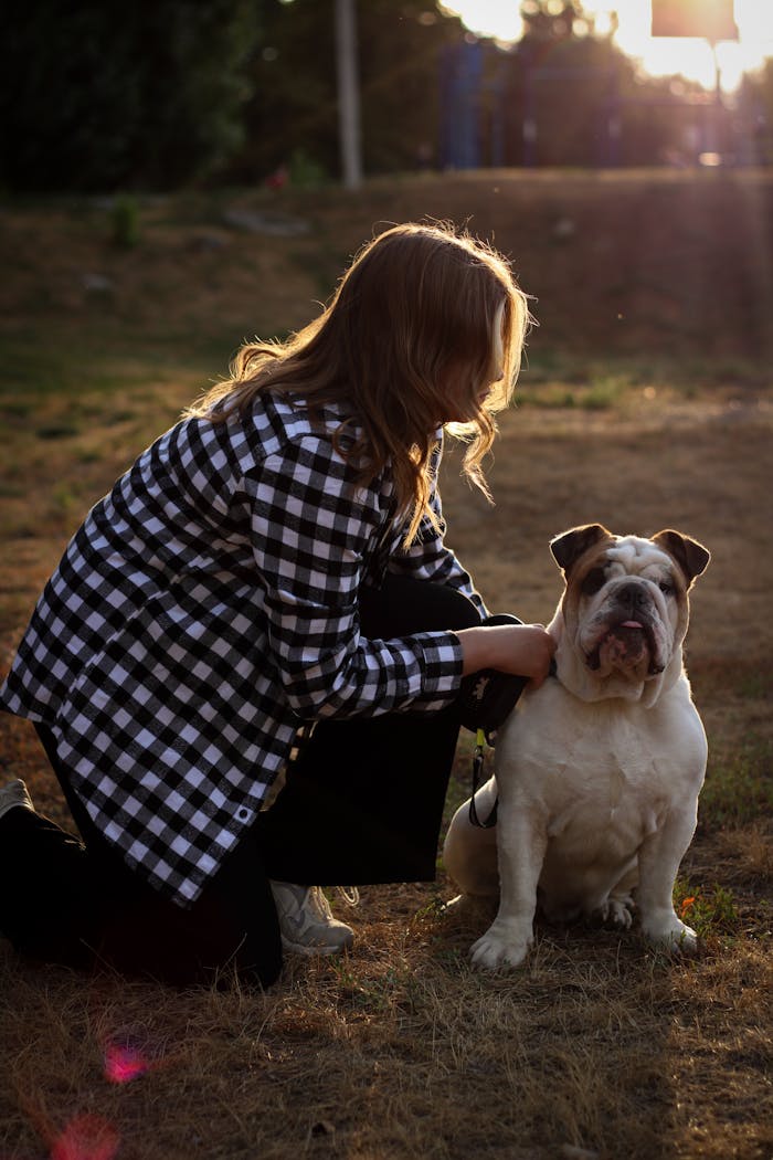 Woman and English bulldog enjoying sunset in a Ukrainian park, capturing friendship and warmth.